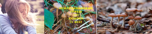 бутик Баксан