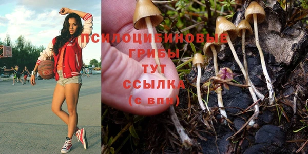 не бодяженный Приозерск