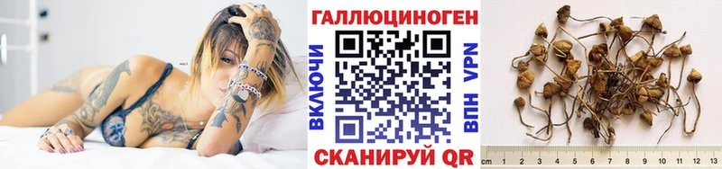 где можно купить   Вяземский  Галлюциногенные грибы Magic Shrooms 